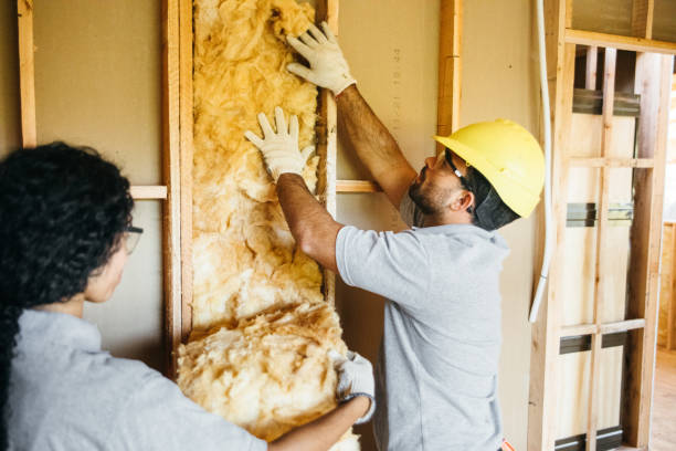 Eco-Friendly or Green Insulation Solutions in Chetopa, KS